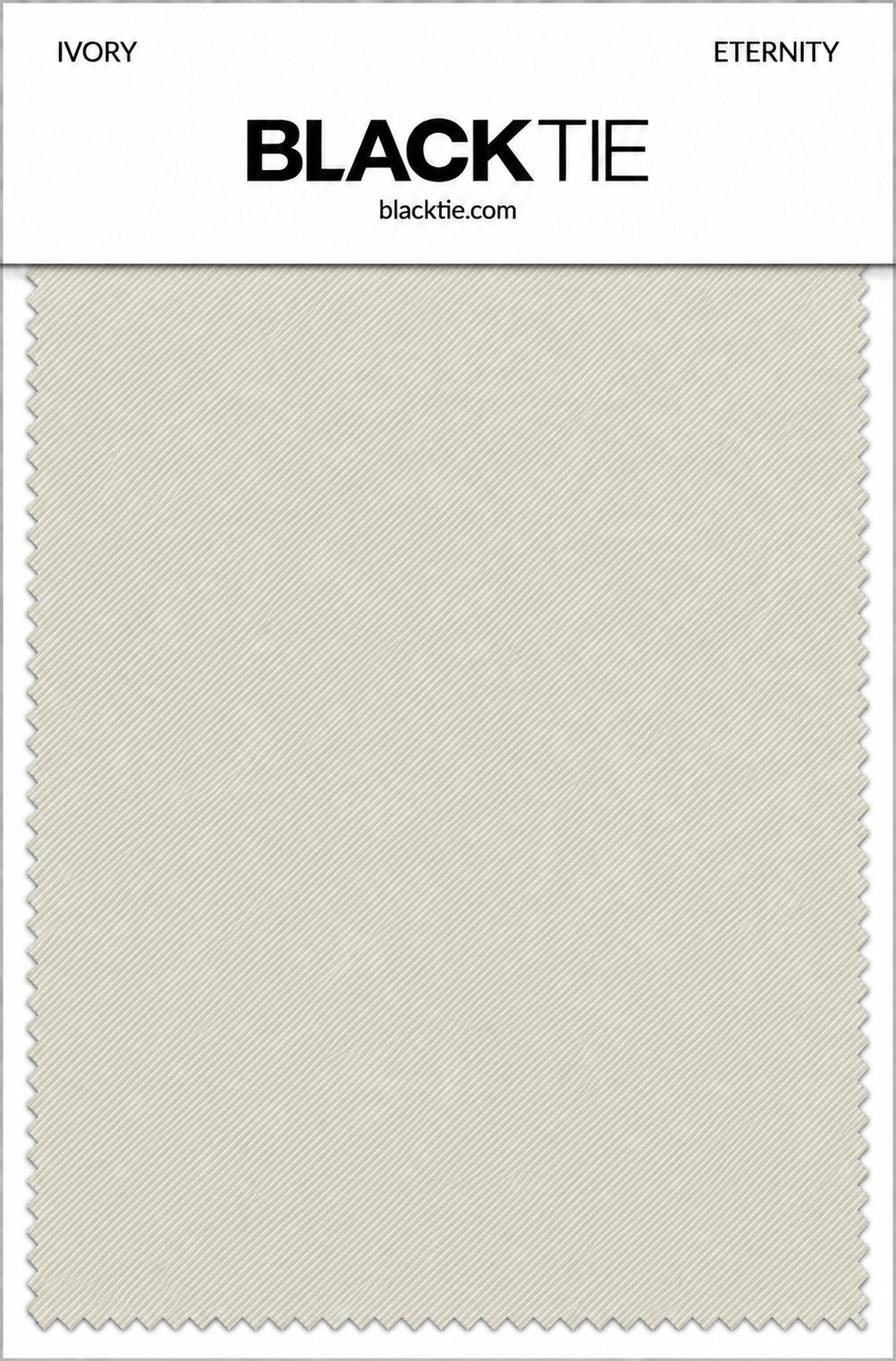 BLACKTIE Ivory Eternity Necktie
