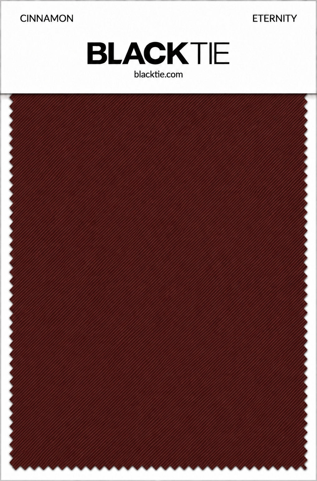 BLACKTIE Cinnamon Eternity Necktie