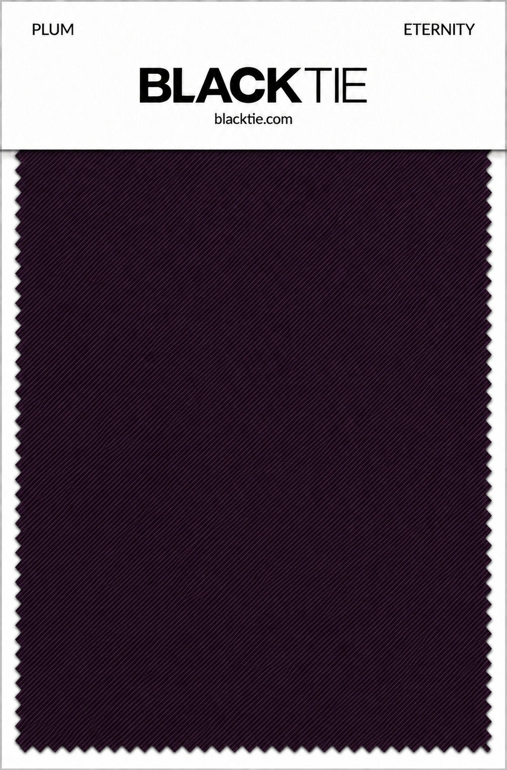 BLACKTIE Plum Eternity Necktie