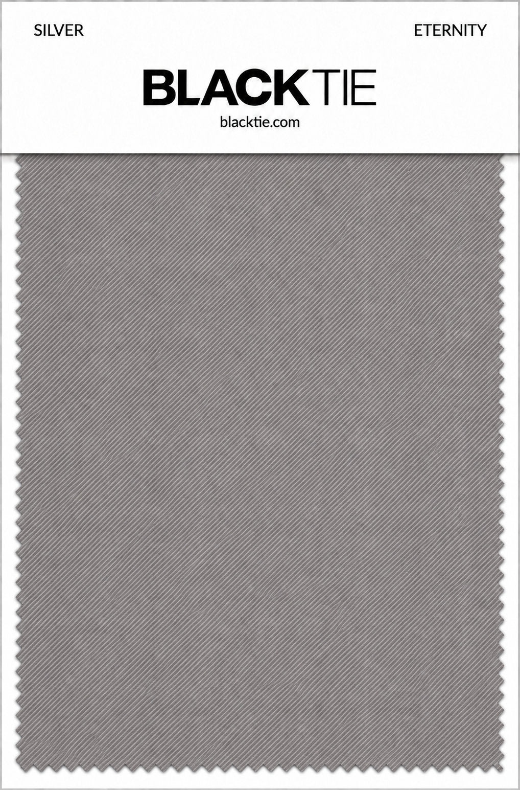 BLACKTIE Silver Eternity Necktie