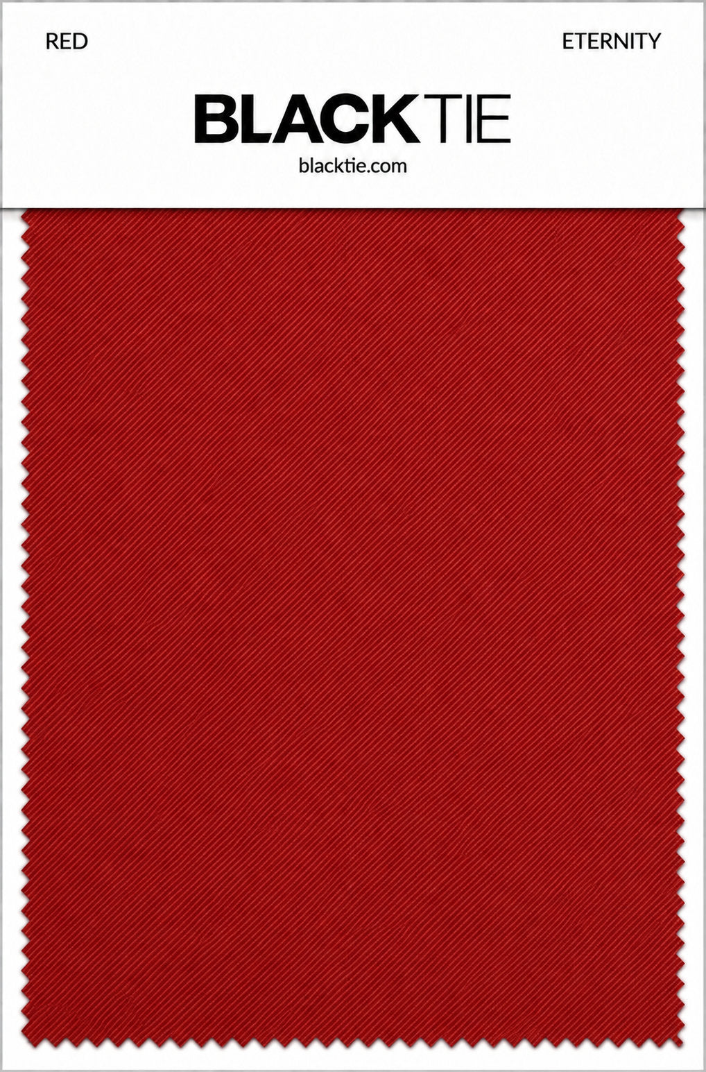 BLACKTIE Red Eternity Necktie