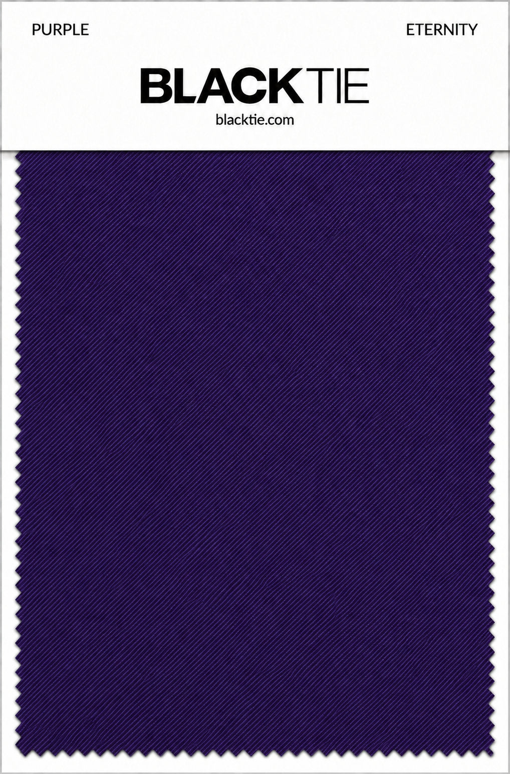 BLACKTIE Purple Eternity Necktie