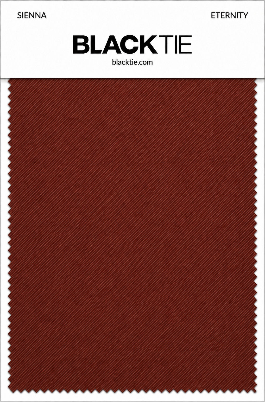 BLACKTIE Sienna Eternity Necktie