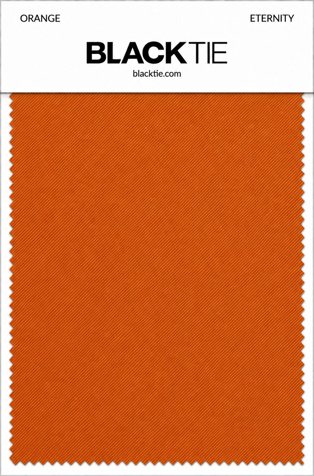 BLACKTIE Orange Eternity Necktie