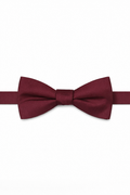 Allure Men Burgundy Solid Satin Silk Bow Tie
