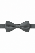Allure Men Sage Solid Satin Silk Bow Tie