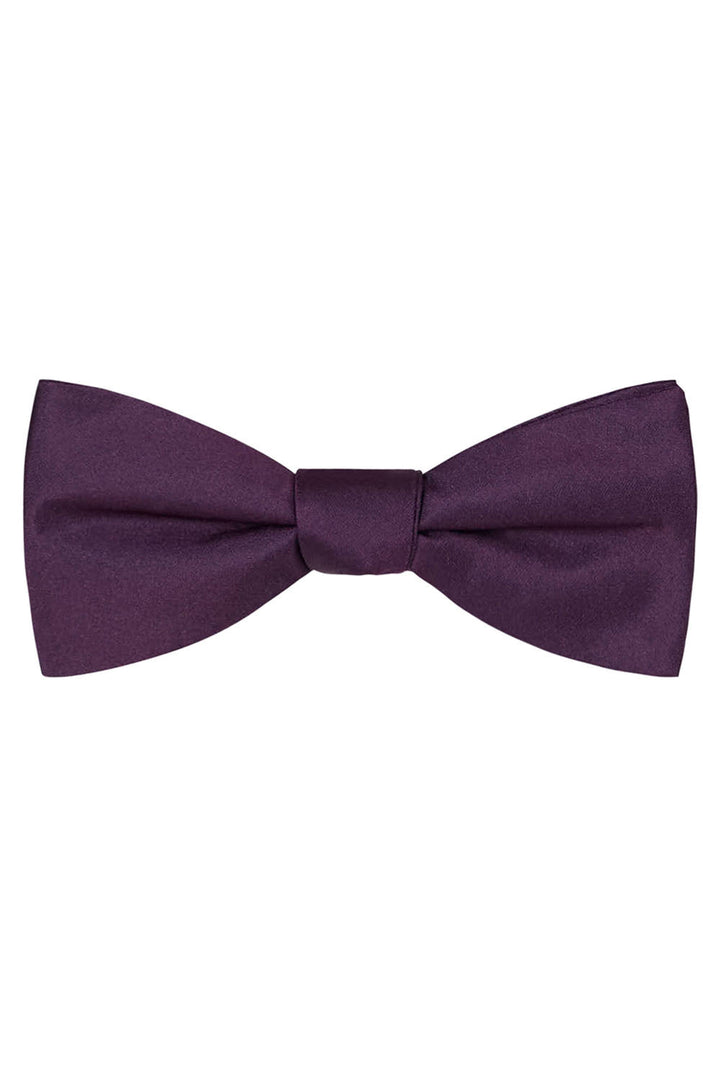 Aubergine Solid Satin Silk Bow Tie