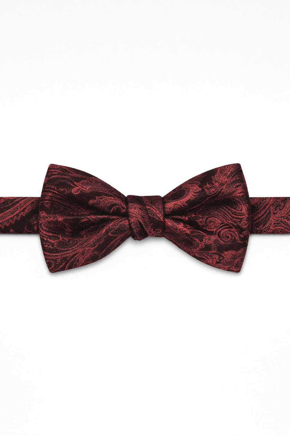 Cardi Pre-Tied Apple Tapestry Bow Tie