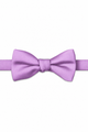 Aster