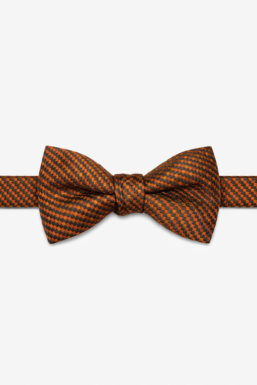 Cardi Autumn Venetian Bow Tie