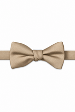 AZ Champagne Modern Solid Bow Tie - pre-tied bow tie, front view