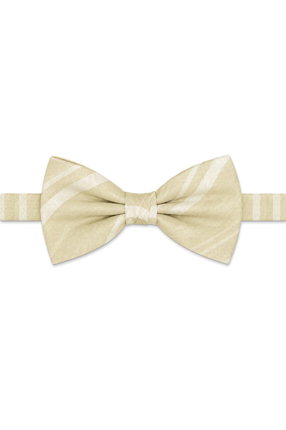 Cardi Pre-Tied Bamboo Striped Satin Bow Tie