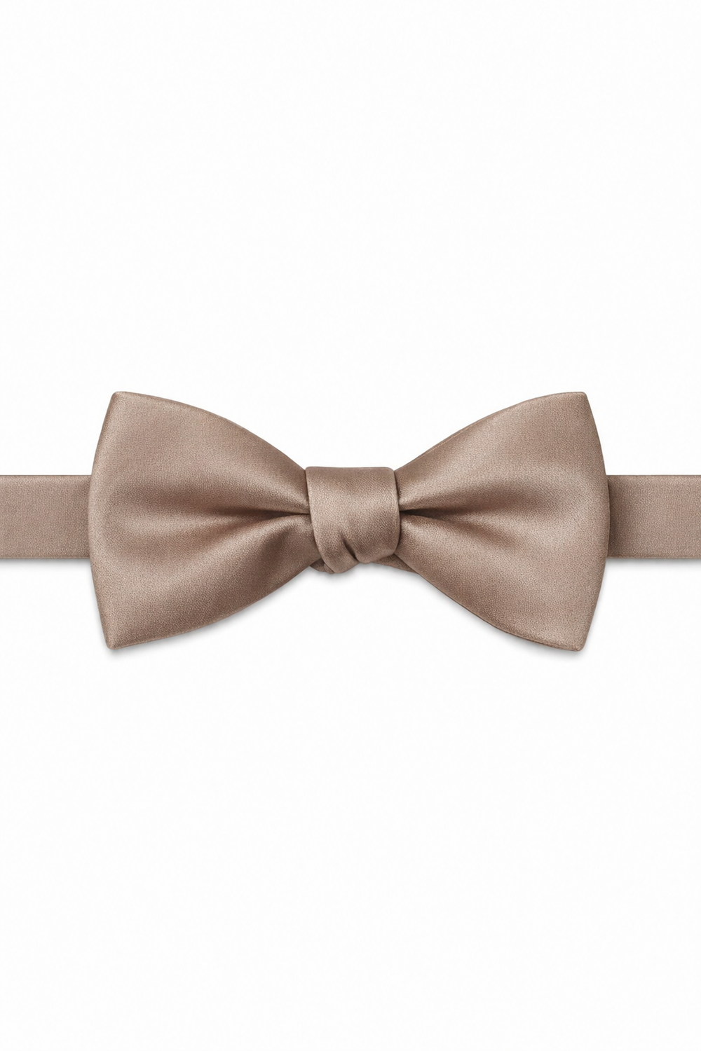 BLACKTIE Biscotti Eternity Bow Tie