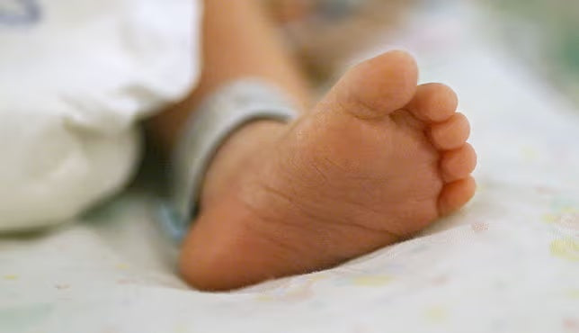 Close-up of a newborn baby's foot resting on a soft blanket.