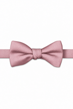 Blossom Modern Solid Bow Tie - pre-tied bow tie, front view