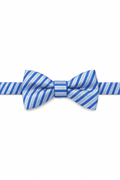 Cardi Pre-Tied Blue Newton Stripe Bow Tie