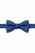 Cardi Pre-Tied Blue Regal Bow Tie