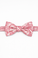 Bubblegum