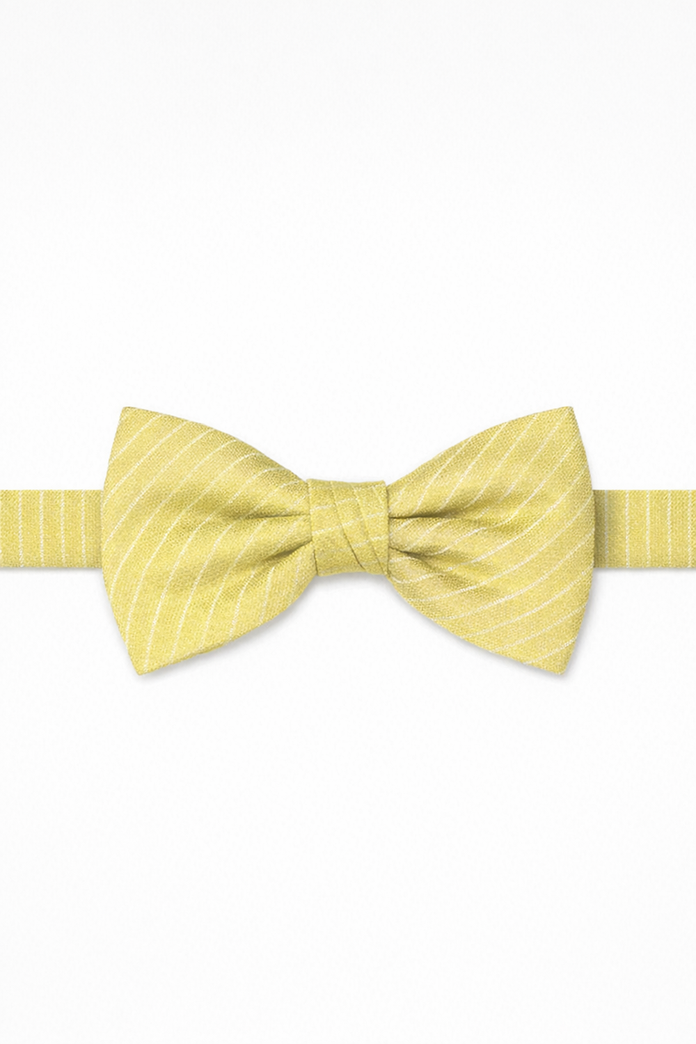 Cardi Pre-Tied Buttercup Palermo Bow Tie