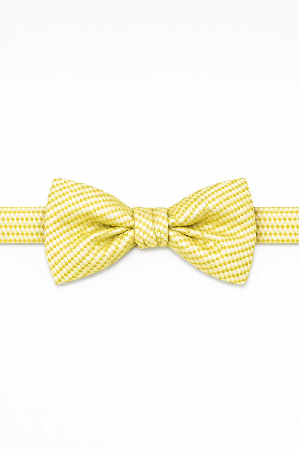 Cardi Buttercup Venetian Bow Tie