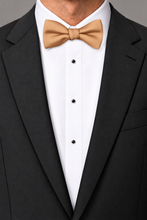 Ted Stanford Dark Peach Modern Solid Bow Tie