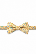 Cardi Pre-Tied Gold Enchantment Bow Tie