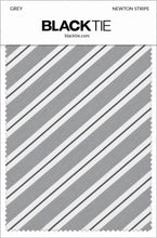 Cardi Grey Newton Stripe Necktie