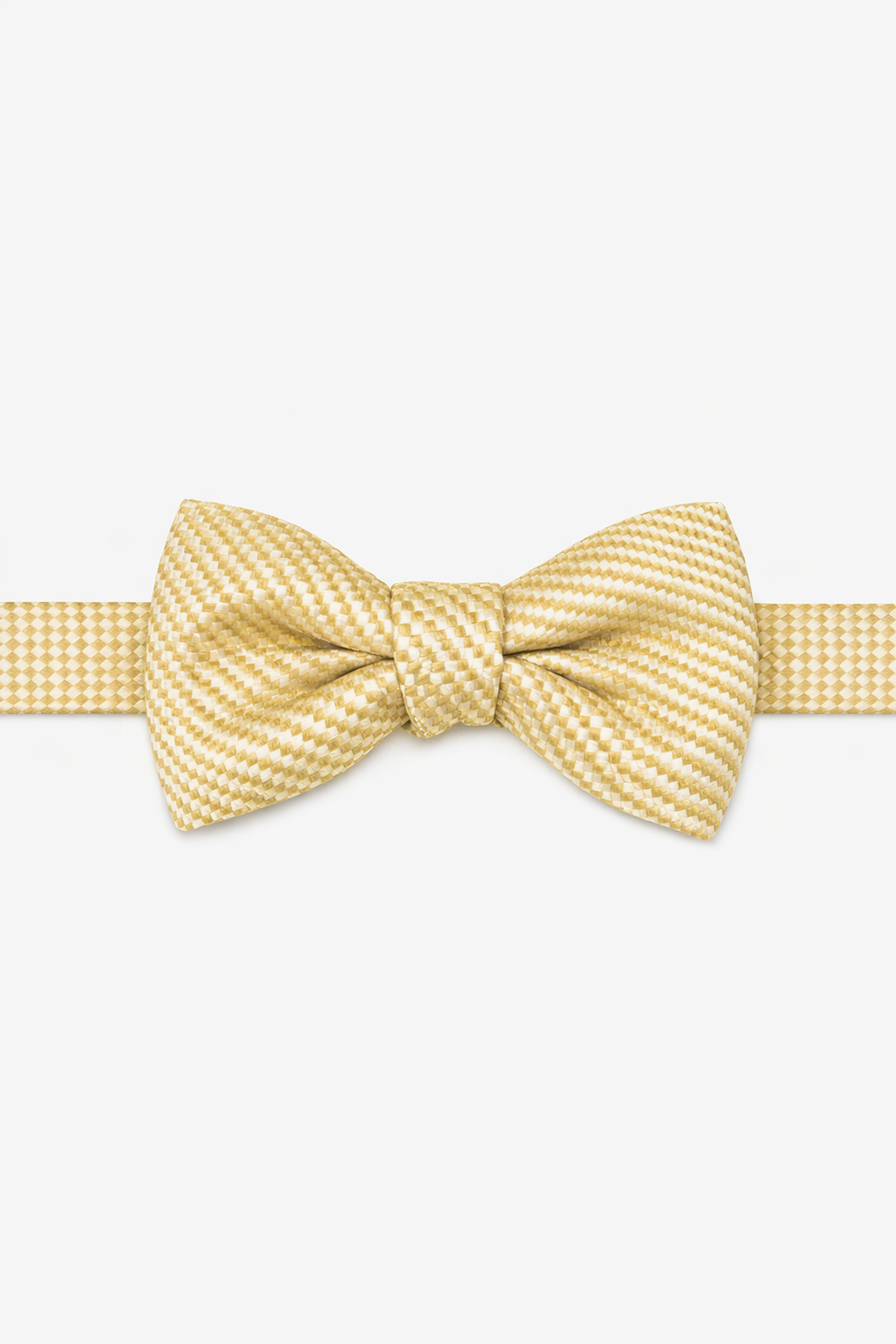 Cardi Harvest Maize Venetian Bow Tie