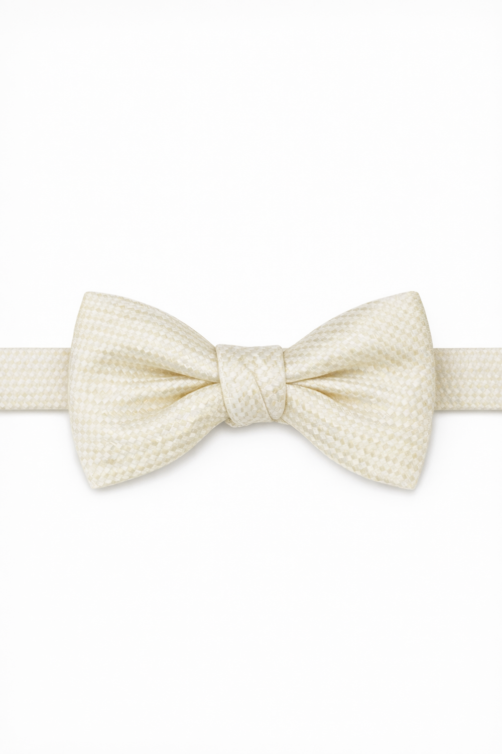 Cardi Ivory Venetian Bow Tie