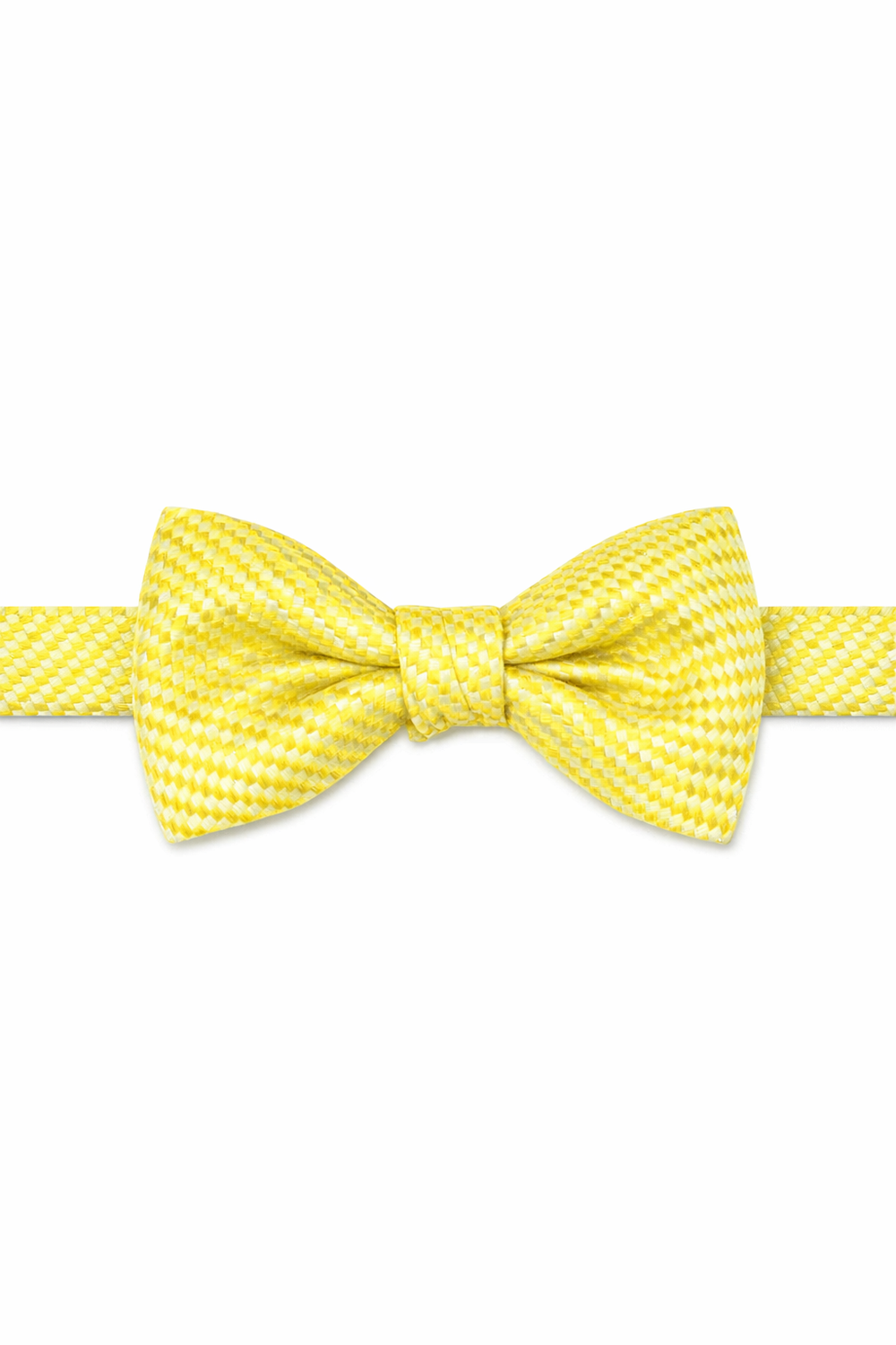 Cardi Lemon Venetian Bow Tie