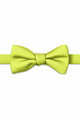 Neon Yellow
