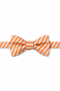 Cardi Pre-Tied Orange Newton Stripe Bow Tie