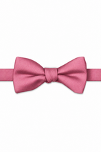 Petunia Modern Solid Bow Tie - pre-tied bow tie, front view