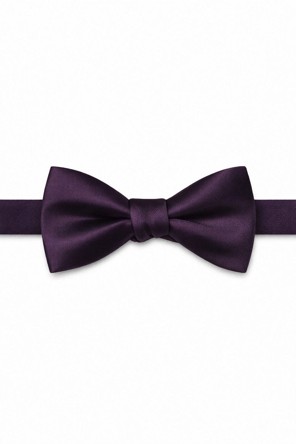 BLACKTIE Plum Eternity Bow Tie