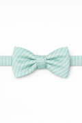 Cardi Pre-Tied Pool Palermo Bow Tie