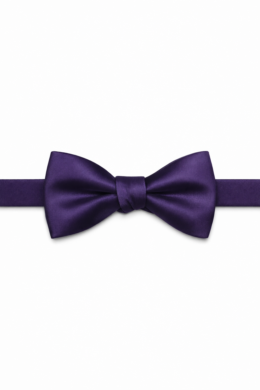 BLACKTIE Purple Eternity Bow Tie