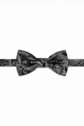 Cristoforo Cardi Pre-Tied Silver Paisley Silk Bow Tie