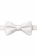 Cardi Pre-Tied White Newton Stripe Bow Tie