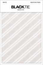 Cardi White Newton Stripe Necktie