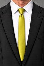 Cardi Willow Luxury Satin Skinny Necktie