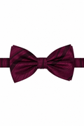 Cardi Pre-Tied Wine Striped Satin Bow Tie