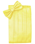 Cardi Lemon Herringbone Cummerbund