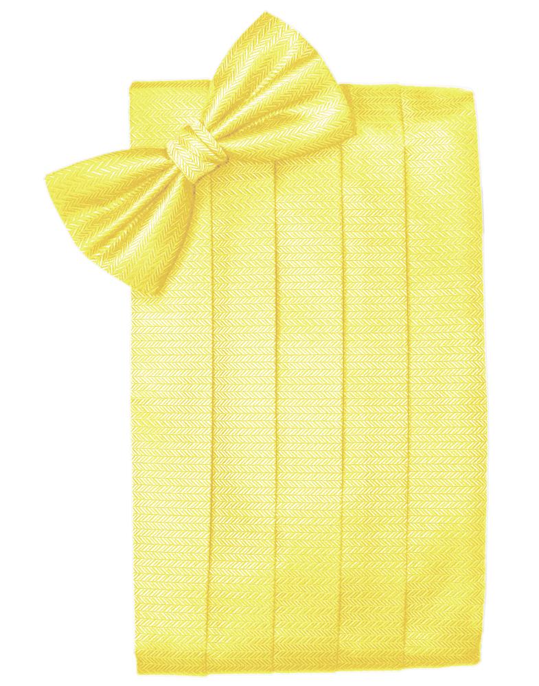 Cardi Lemon Herringbone Cummerbund