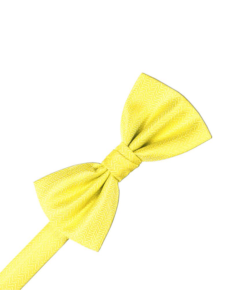 Cardi Sunbeam Herringbone Bow Tie