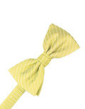 Cardi Buttercup Palermo Cummerbund