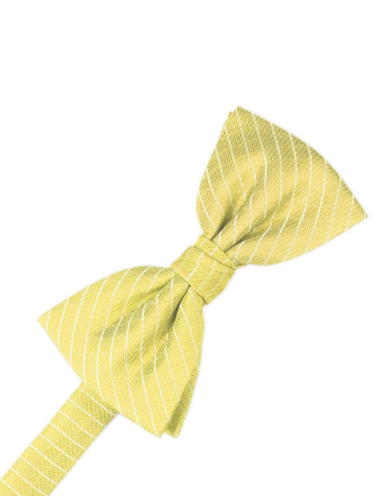 Cardi Buttercup Palermo Cummerbund