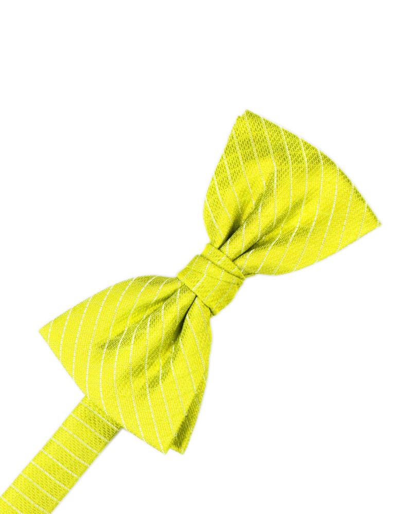 Cardi Lemon Palermo Cummerbund