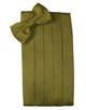 Fern