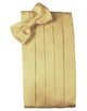 Harvest Maize