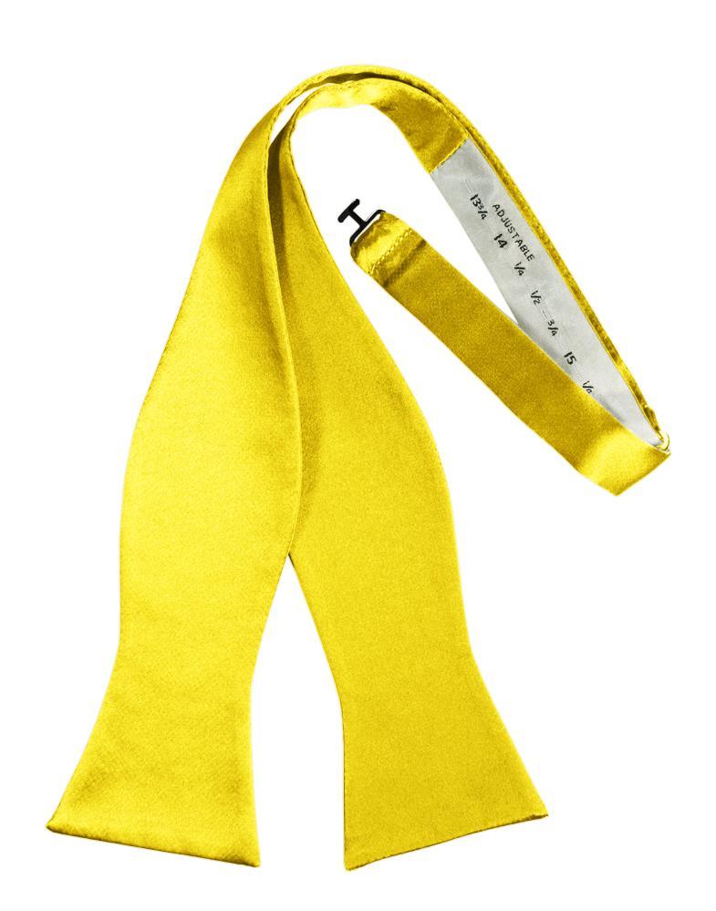 Sunbeam Luxury Satin Bow Tie - self-tie style, front view